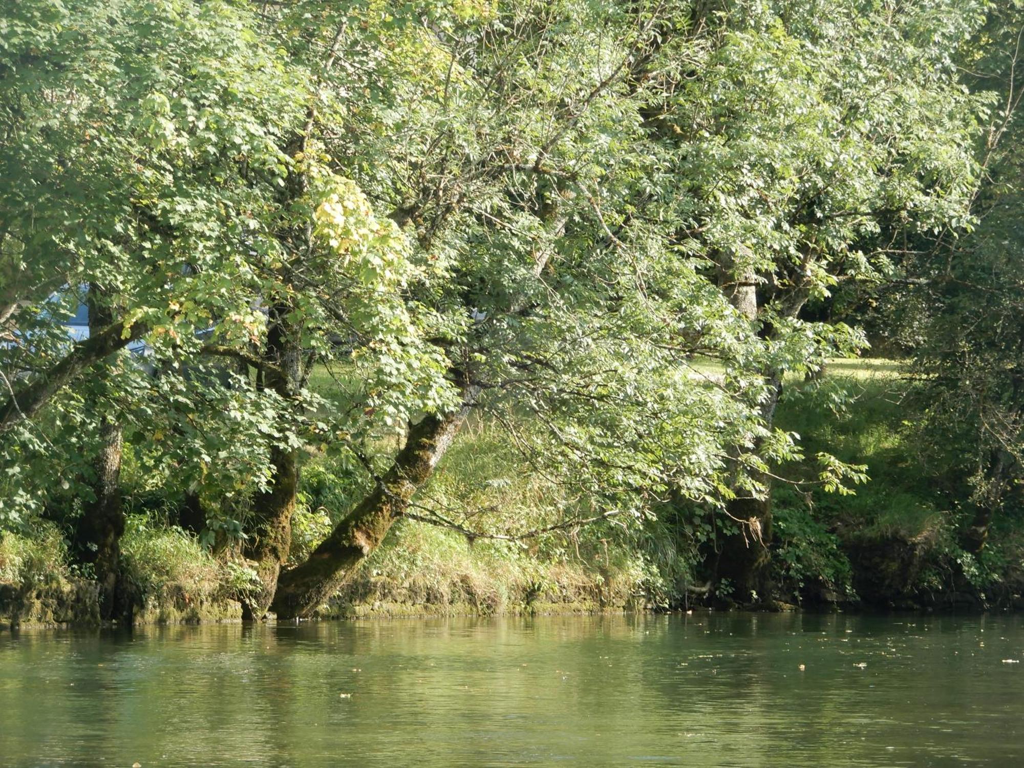 Maison De Vacances - Vue Panoramique Riviere Ornans Buitenkant foto