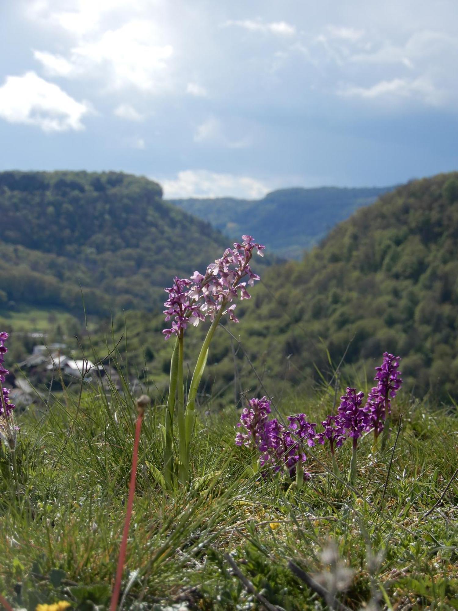 Maison De Vacances - Vue Panoramique Riviere Ornans Buitenkant foto